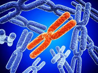 Similar image 11138142