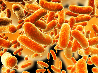 Similar image 11138146