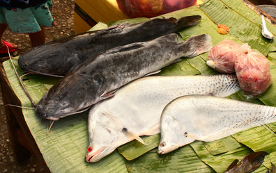 Similar image 11138164