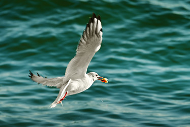 Similar image 11136878