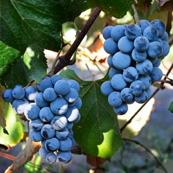 Similar image 11136879