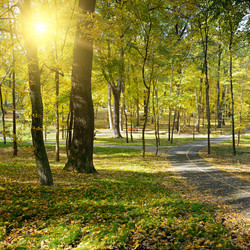 Similar image 11136882