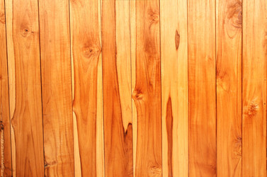 Similar image 11138189