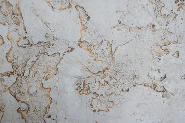 Similar image 11136921