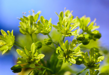 Similar image 11137038