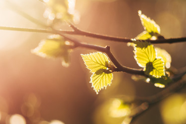 Similar image 11137040