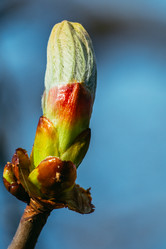 Similar image 11137041