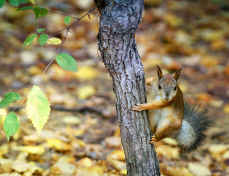 Similar image 11137557