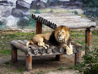 Similar image 11137558