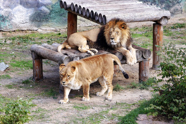 Similar image 11137901