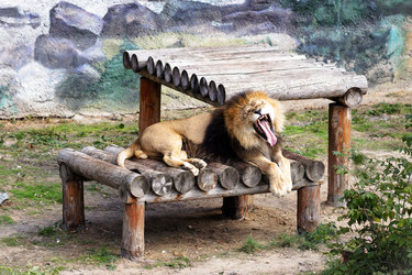 Similar image 11137902