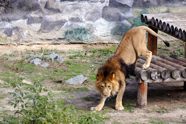 Similar image 11137903