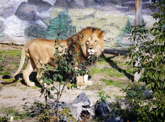 Similar image 11137904