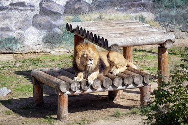 Similar image 11137905