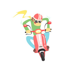 Similar image 11369302