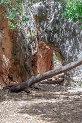 Similar image 11137767