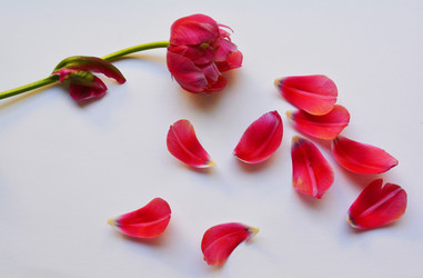 Similar image 11137827