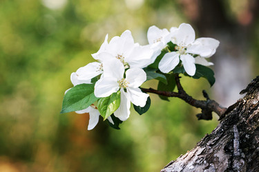 Similar image 11137915