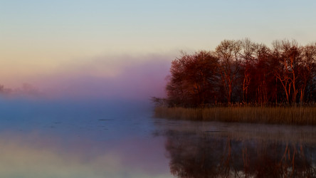 Similar image 11146669