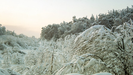 Similar image 11137964