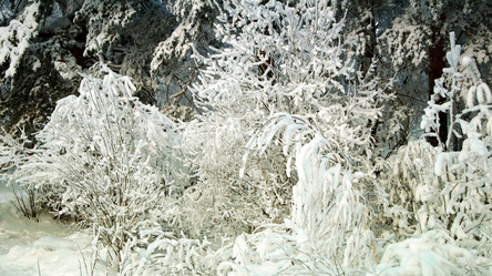 Similar image 11137965