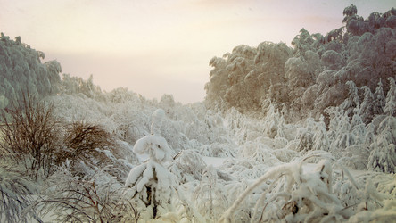 Similar image 11137966