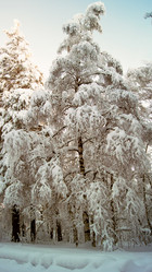 Similar image 11137967