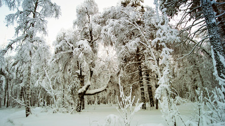 Similar image 11137968