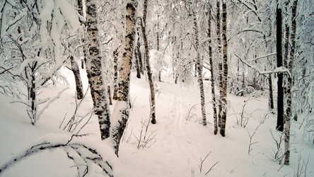 Similar image 11137969