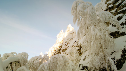 Similar image 11137970