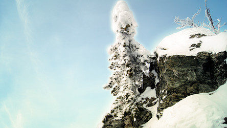 Similar image 11137972