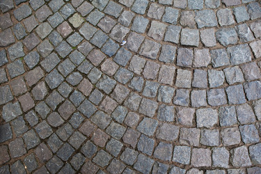 Similar image 11141077