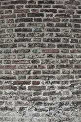 Similar image 11141063