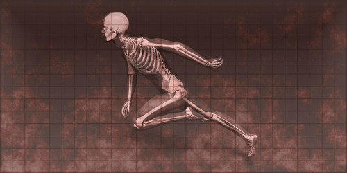 Similar image 11283698