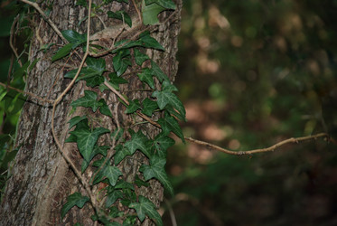 Similar image 11141036