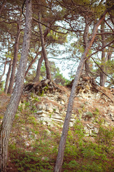 Similar image 11141068