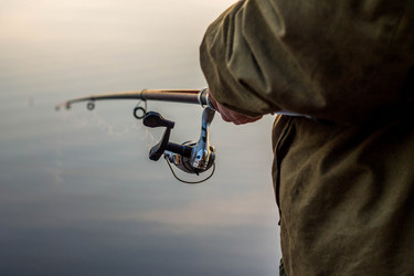 Similar image 11143143