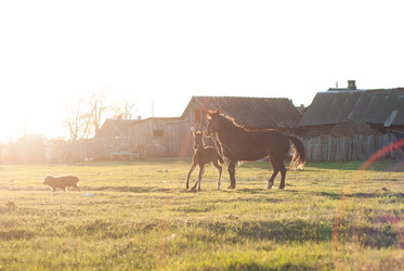 Similar image 11146931