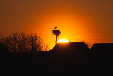 Similar image 11146934