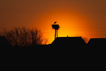 Similar image 11146935