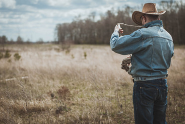 Similar image 11146939