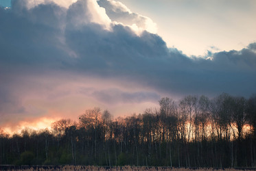 Similar image 11146944