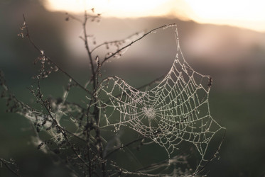 Similar image 11147036