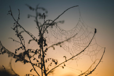 Similar image 11146921