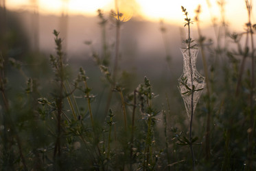 Similar image 11146922