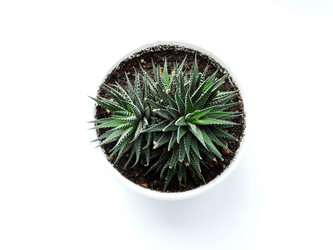 Similar image 11141008