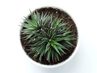 Similar image 11141009