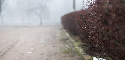 Similar image 11147020