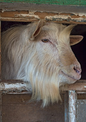 Similar image 11146679