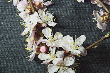 Similar image 11146680